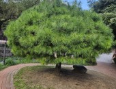 silder_img5